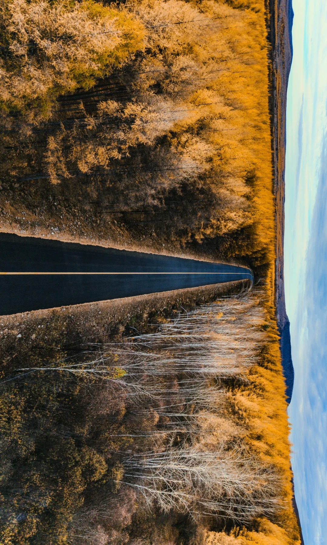 根白线—满足了我对大兴安岭秋景的全部想象_9_棱角分明的木子_大兴安岭-来自52tours 我爱旅游网